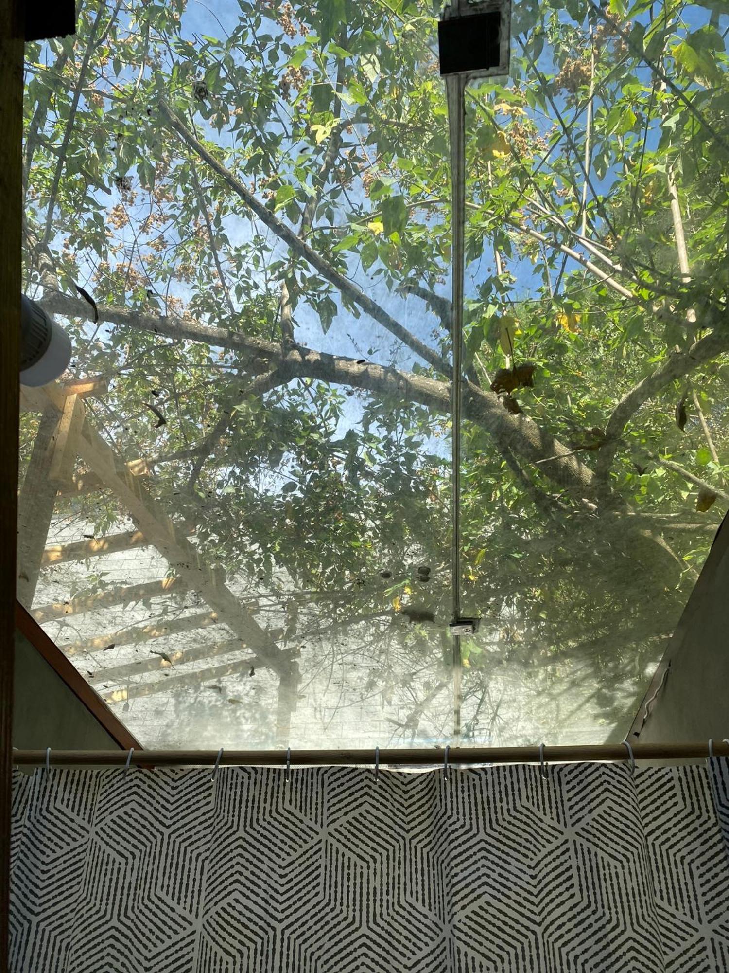 Cabanas Alpina, Romantica Y Acogedora A 10 Minutos Del Centro Tepoztlán Exterior photo