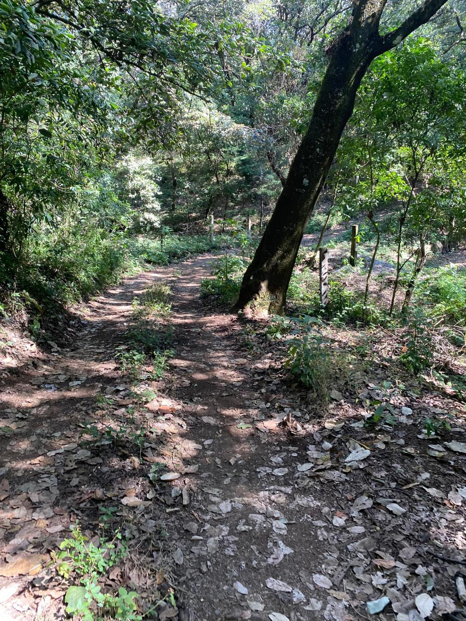 Cabanas Alpina, Romantica Y Acogedora A 10 Minutos Del Centro Tepoztlán Exterior photo